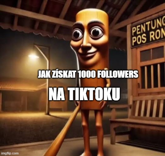Jak získat 1000 followers na TikToku? 5 TOP způsobů